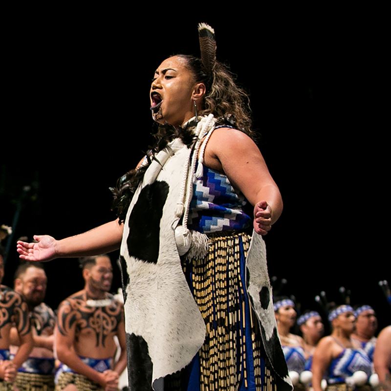 Bachelor of Māori Performing Arts