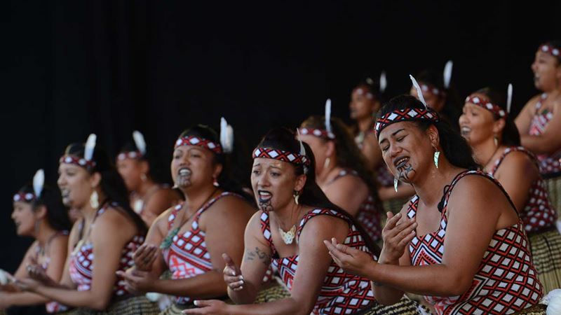 Postgraduate Diploma in Māori Performing Arts