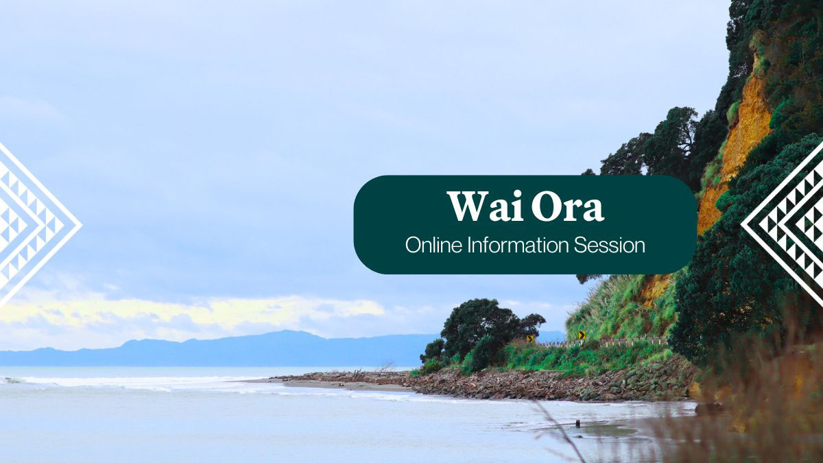 Wai Ora Info Session 10 Dec 2025